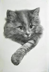 素描中要注意哪些關鍵點?洛陽畫室告訴您!